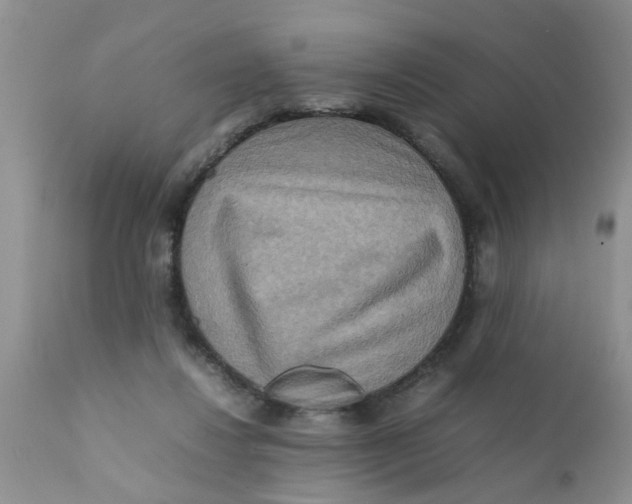 X0000111900260200908171245