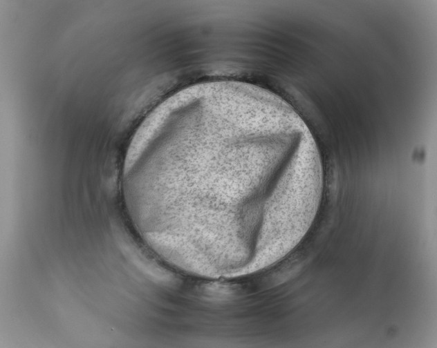 X0000111900261200908171245