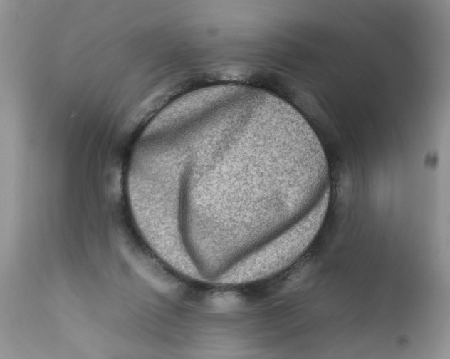 X0000111900262200908171245