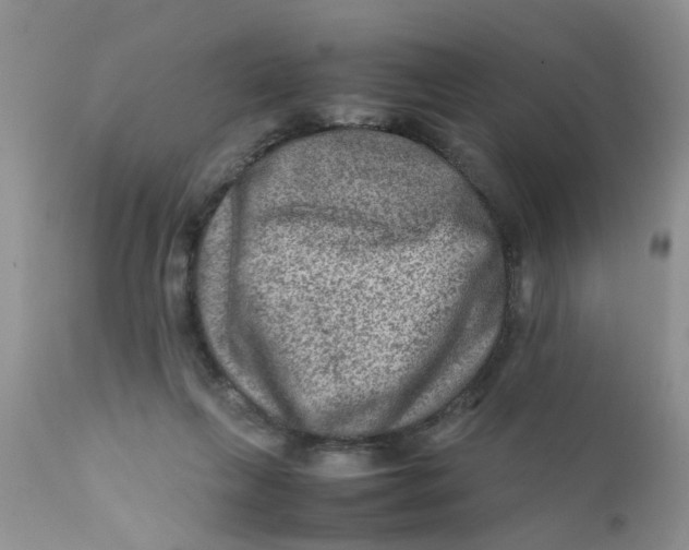 X0000111900263200908171245