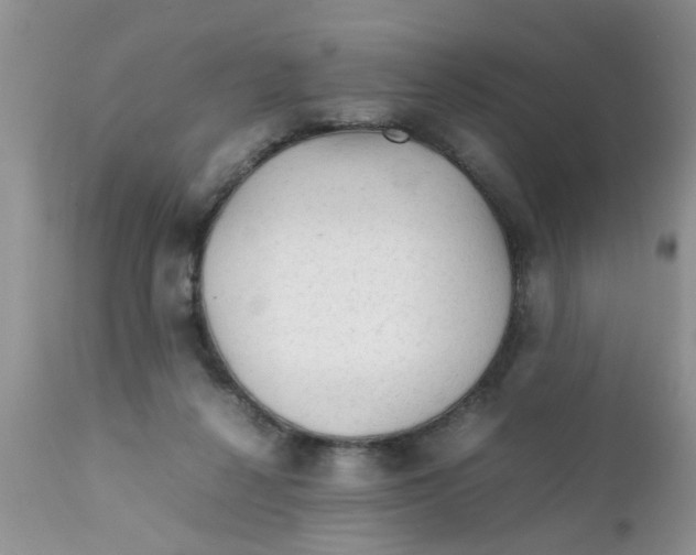 X0000111900264200908171245