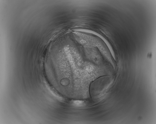 X0000111900265200908171245