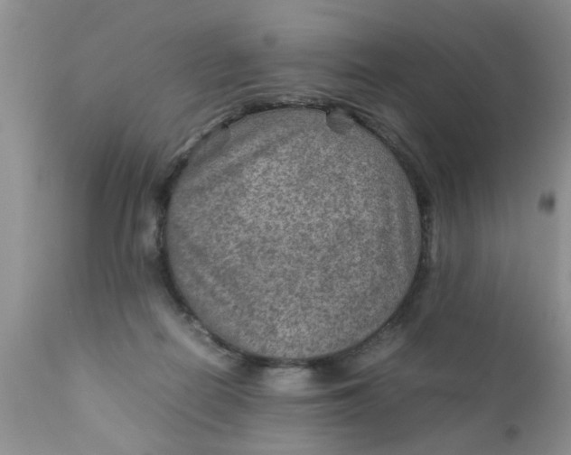 X0000111900266200908171245