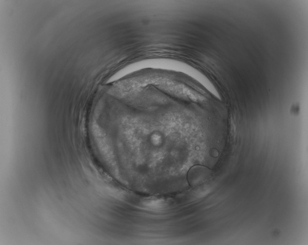 X0000111900267200908171245