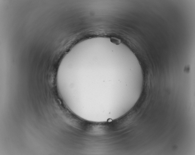 X0000111900268200908171246