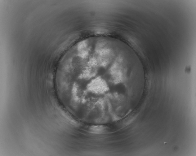 X0000111900269200908171246