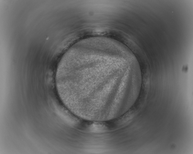 X0000111900270200908171246