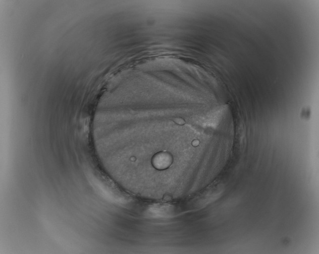 X0000111900271200908171246