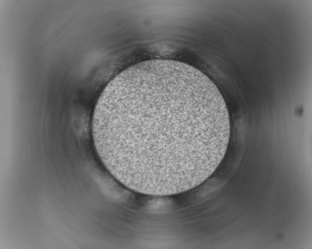 X0000111900274200908171246