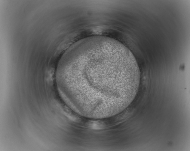 X0000111900275200908171246