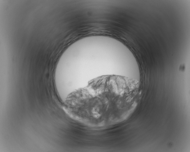 X0000111900277200908171246