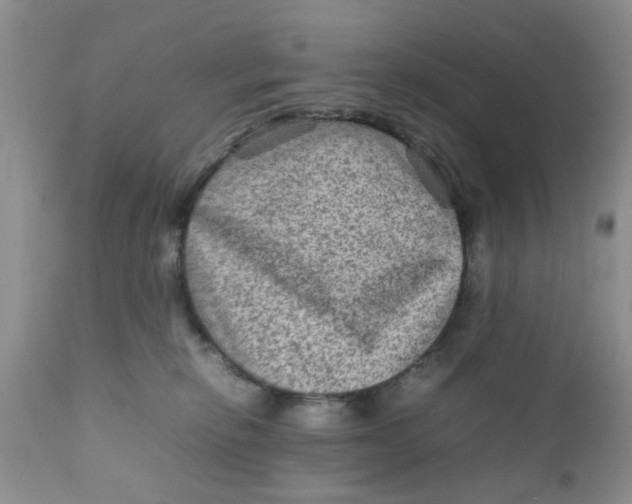 X0000111900278200908171246