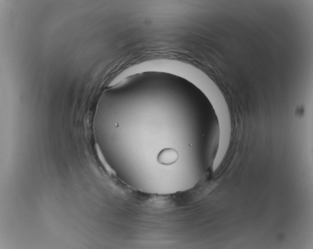 X0000111900280200908171246