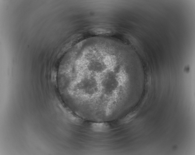 X0000111900281200908171246