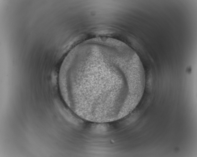 X0000111900282200908171246