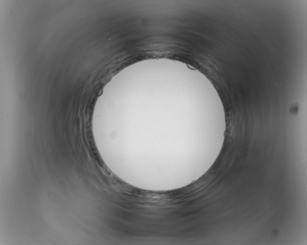 X0000111900283200908171246