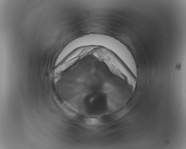 X0000111900285200908171246