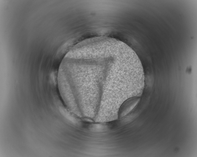 X0000111900286200908171246