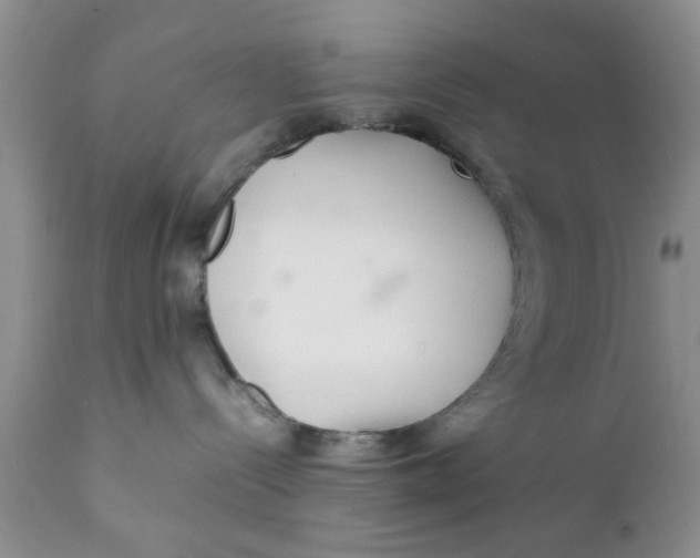 X0000111900288200908171246