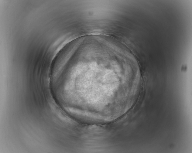 X0000111900290200908171245