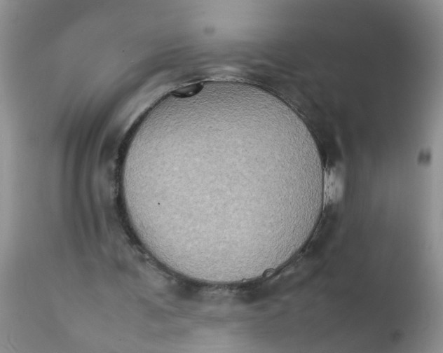 X0000111900291200908171245