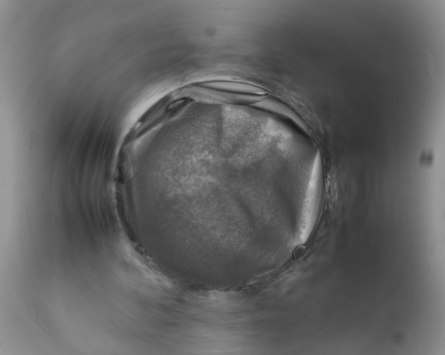 X0000111900292200908171245