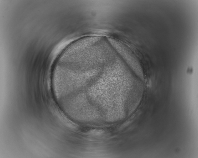 X0000111900294200908171245