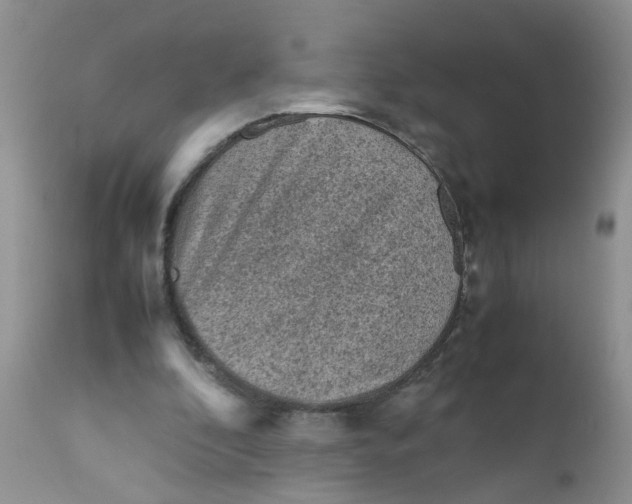 X0000111900296200908171245