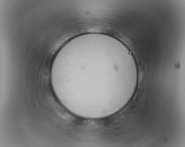 X0000111900297200908171245