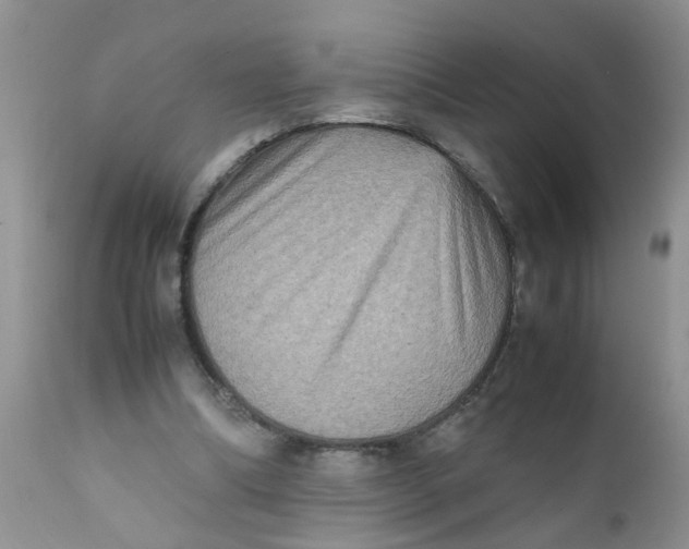 X0000111900298200908171245