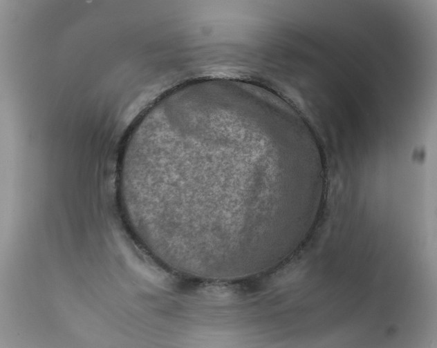 X0000111900299200908171245