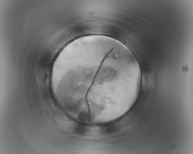 X0000111900301200908171245