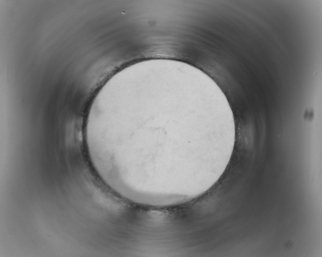 X0000111900302200908171245