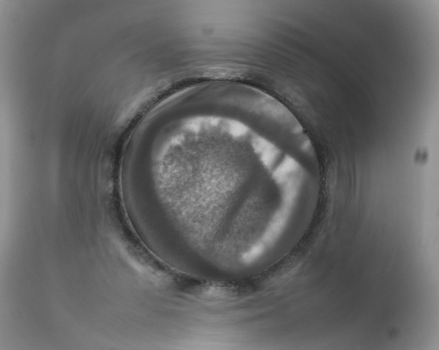 X0000111900303200908171245