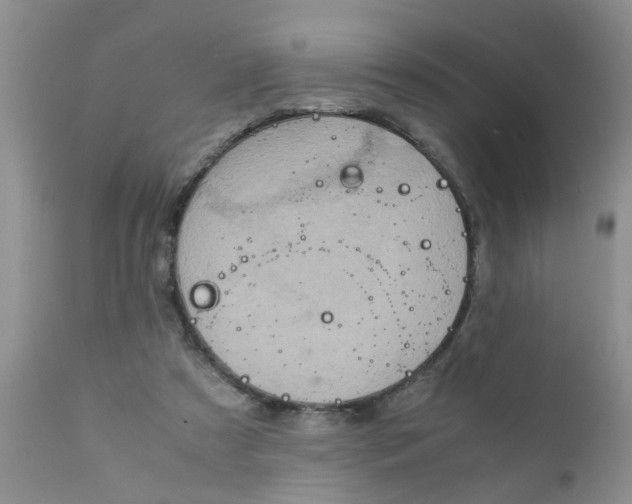 X0000111900305200908171245