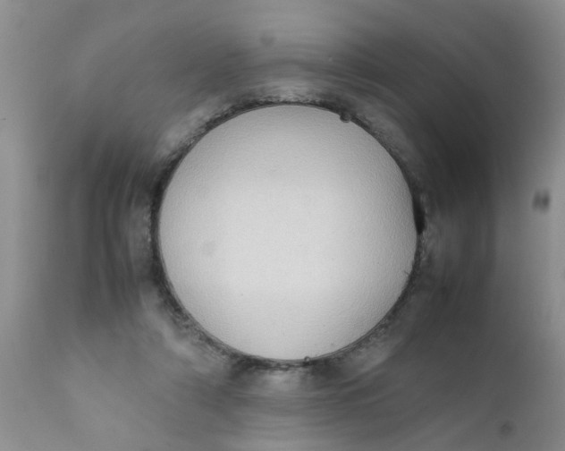 X0000111900306200908171245