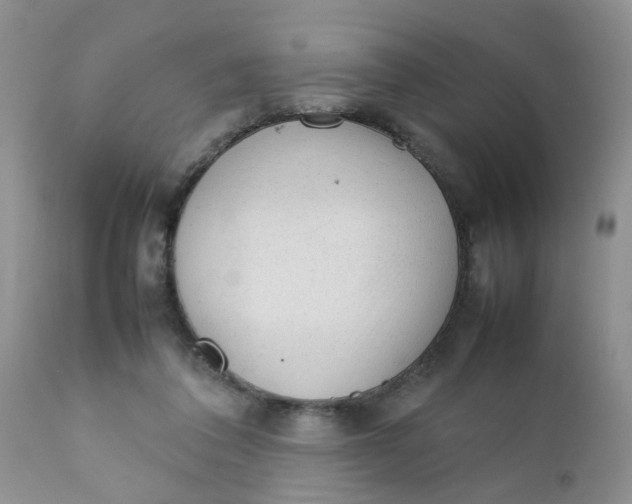 X0000111900308200908171245