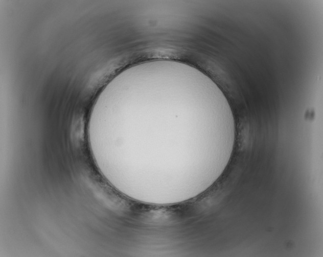 X0000111900310200908171245