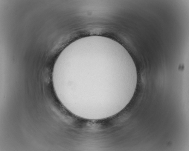 X0000111900311200908171245