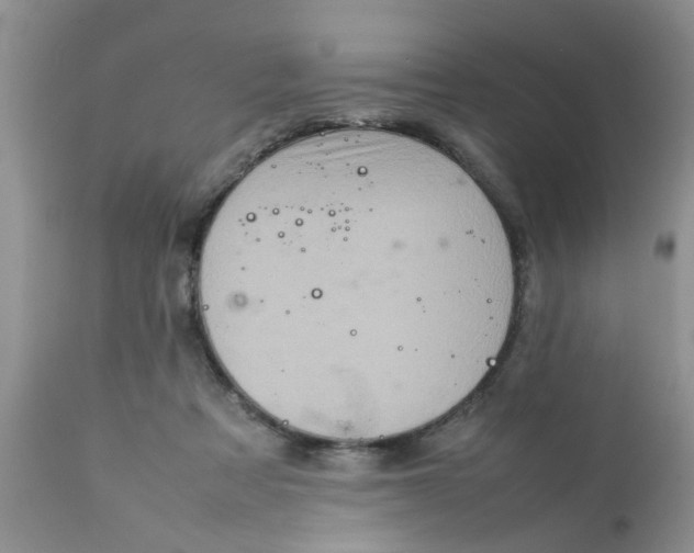 X0000111900313200908171245