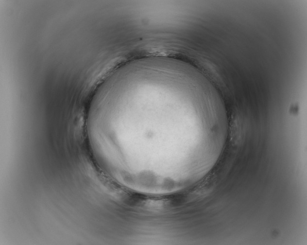 X0000111900314200908171245