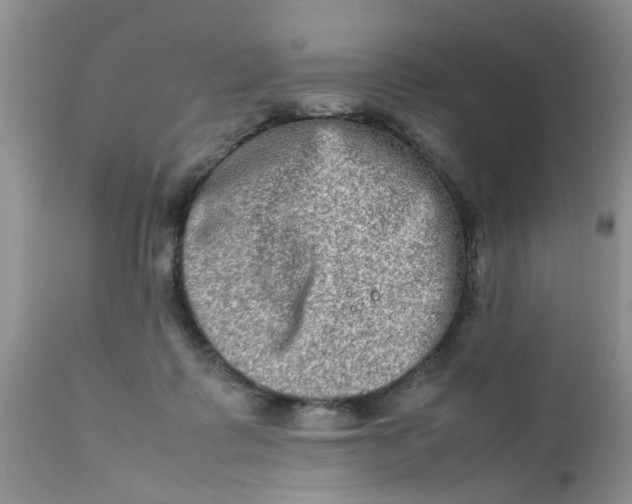 X0000111900315200908171245