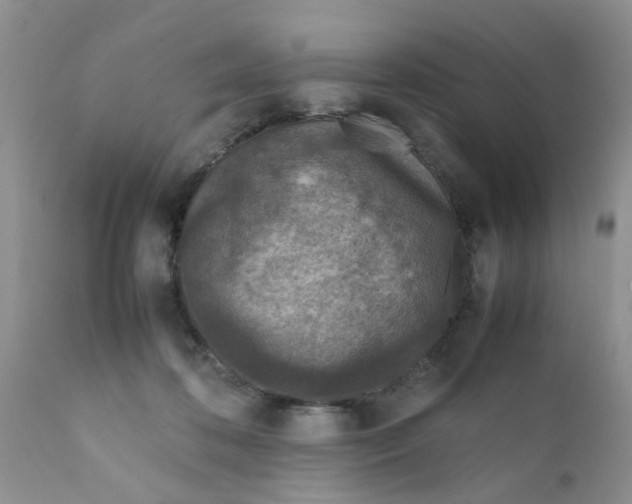 X0000111900316200908171245