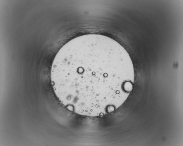 X0000111900317200908171245