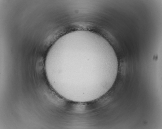 X0000111900318200908171245