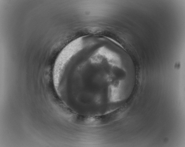 X0000111900319200908171245