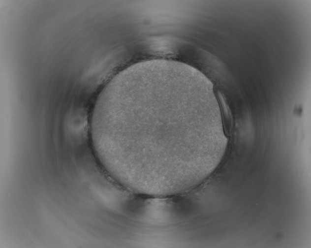 X0000111900320200908171245