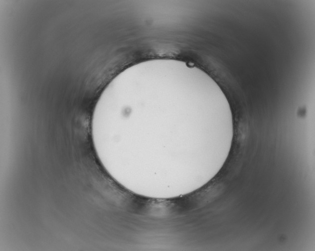 X0000111900321200908171245