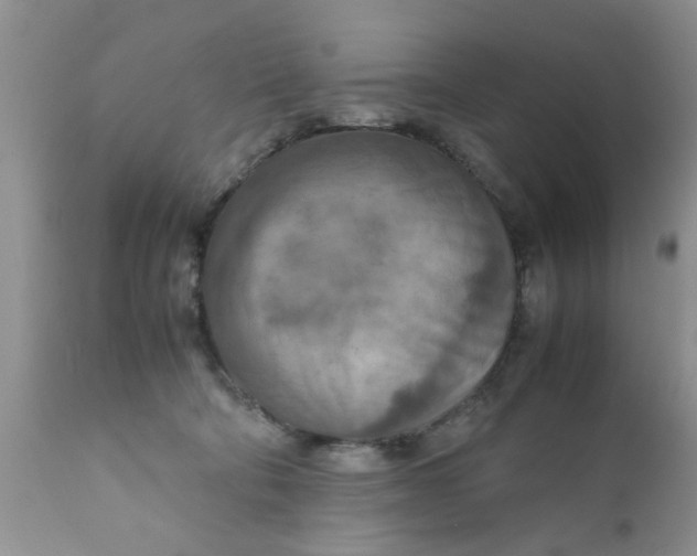 X0000111900322200908171245