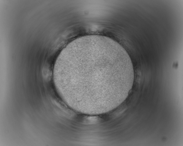 X0000111900324200908171245